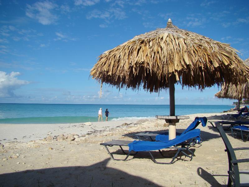 Palmita Hotel Hostel Oranjestad Exterior photo