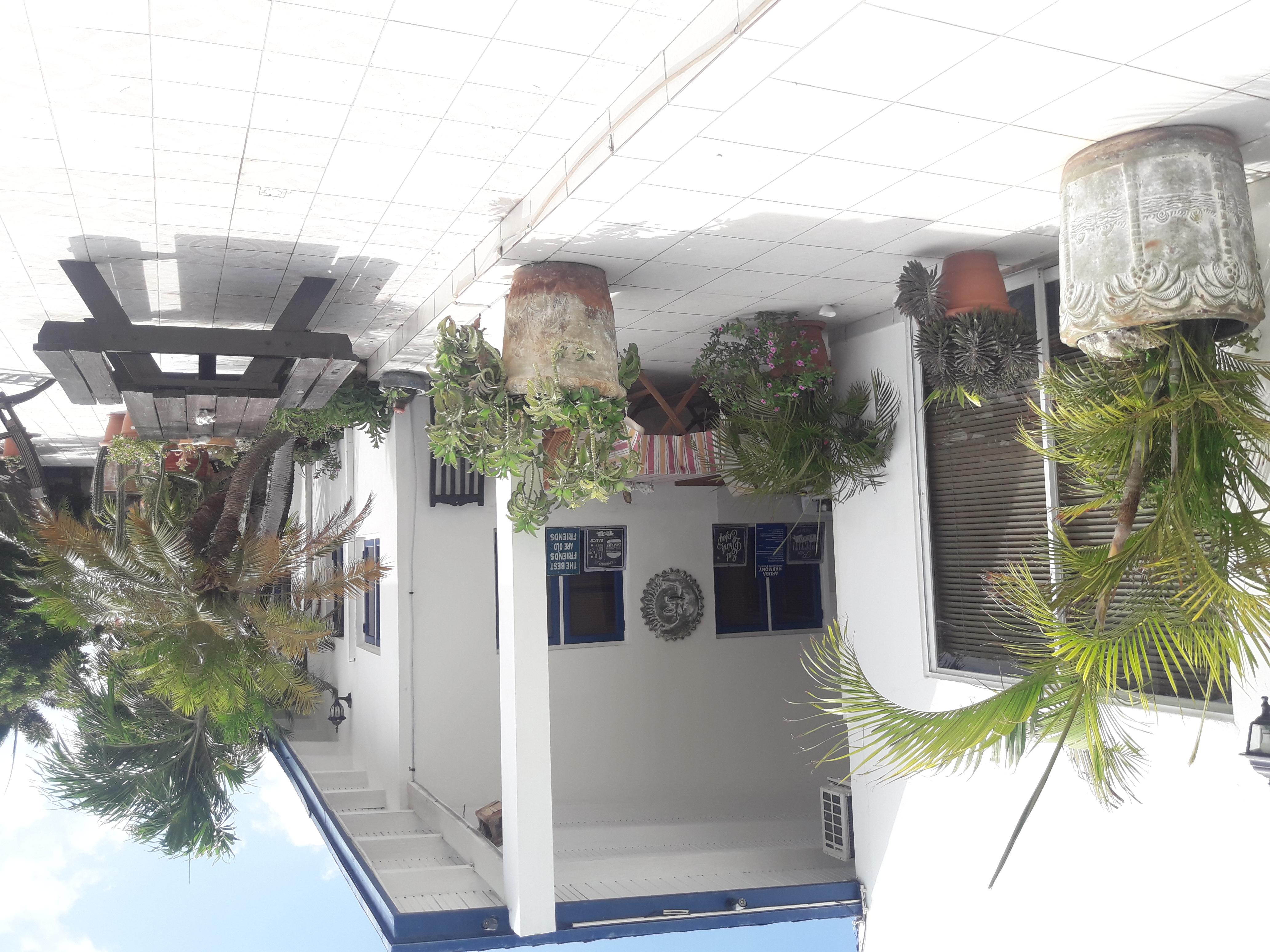 Palmita Hotel Hostel Oranjestad Exterior photo